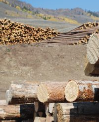 Loan Program Helps Reduce Wildfire Severity While Improving Profits for Wood Products Businesses
